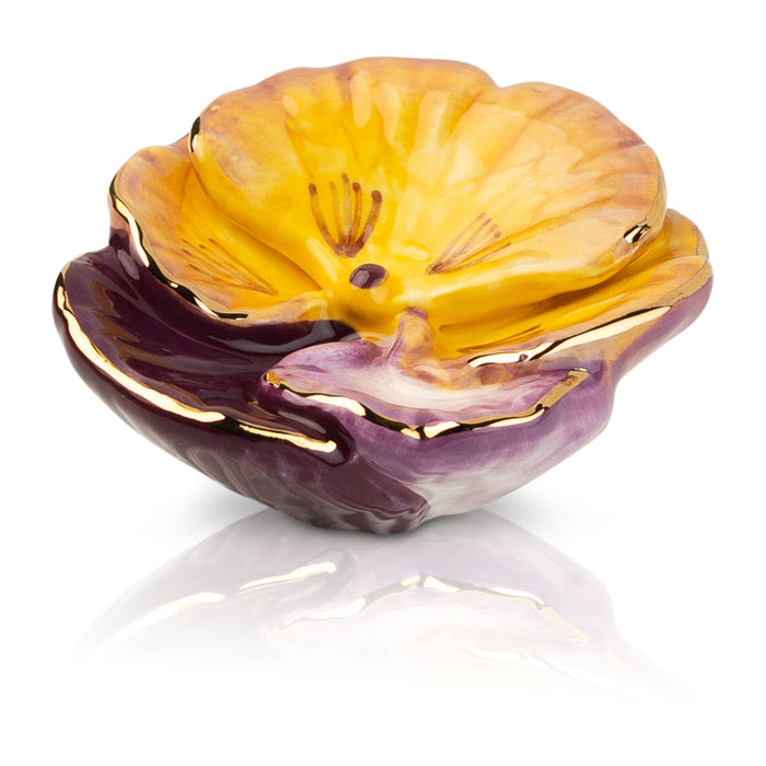Pansy Pop Mini