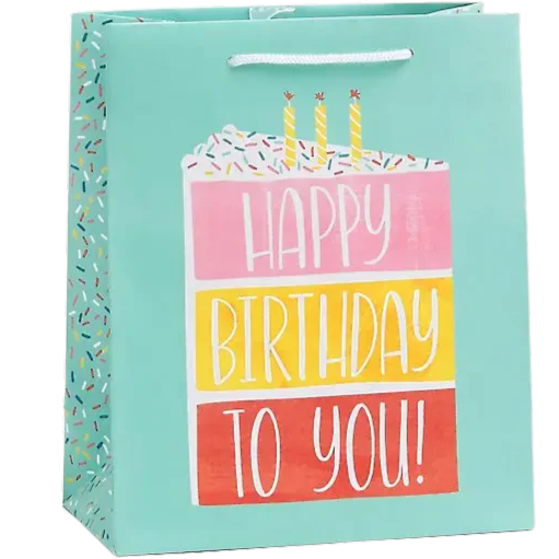 Birthday Cake Large Gift Bag