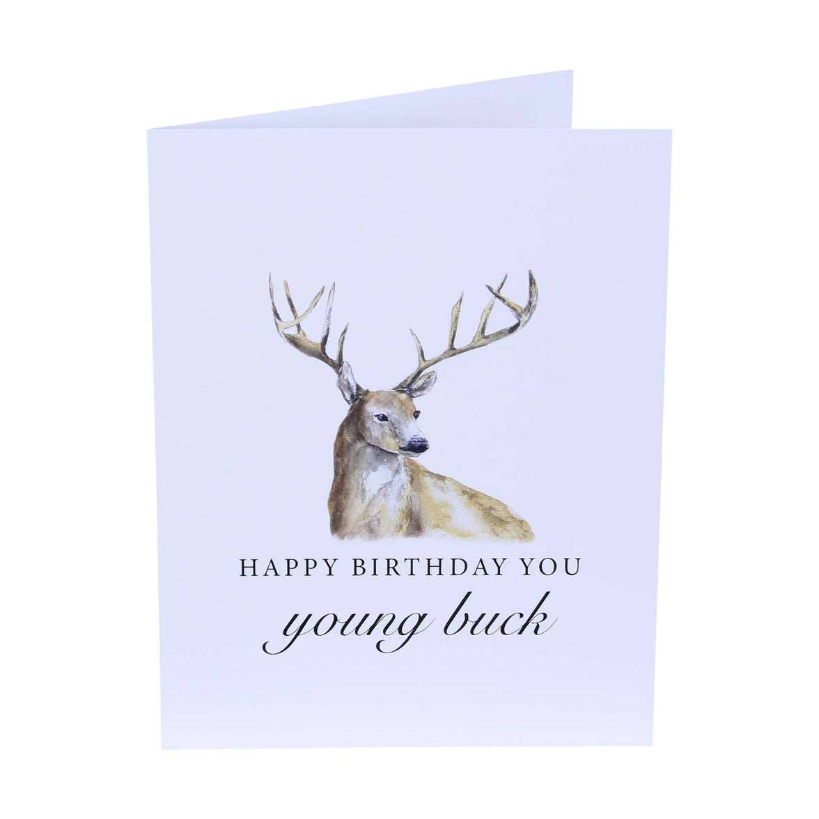 Happy Birthday Young Buck Funny Deer Greeting Card