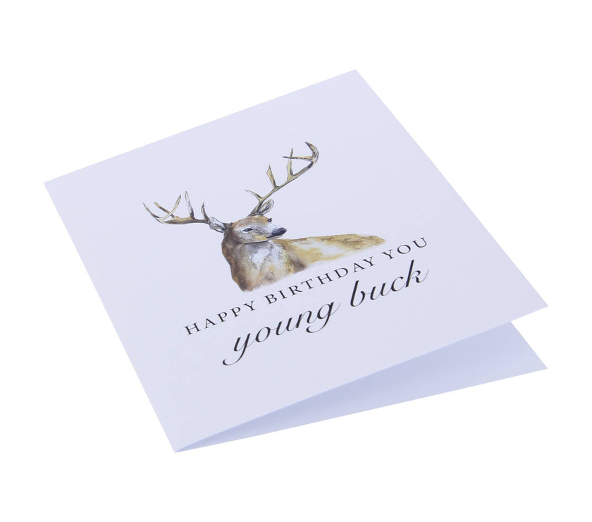 Happy Birthday Young Buck Funny Deer Greeting Card