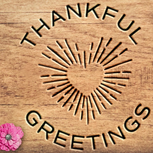 2" Matches + Mini Cloche - Strikers: Espresso and Black