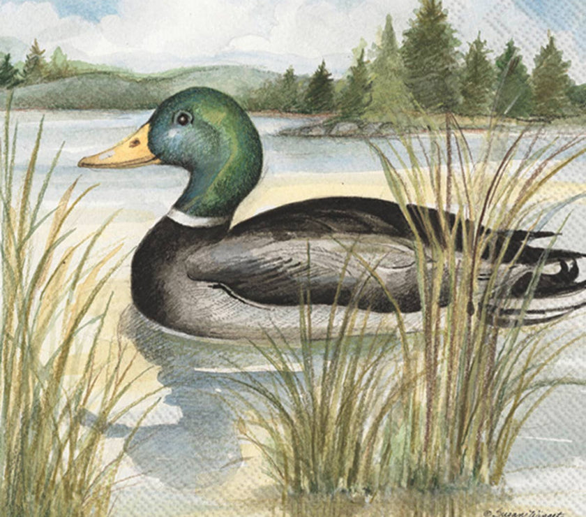 Mallard Duck Cocktail Napkins - 20CT