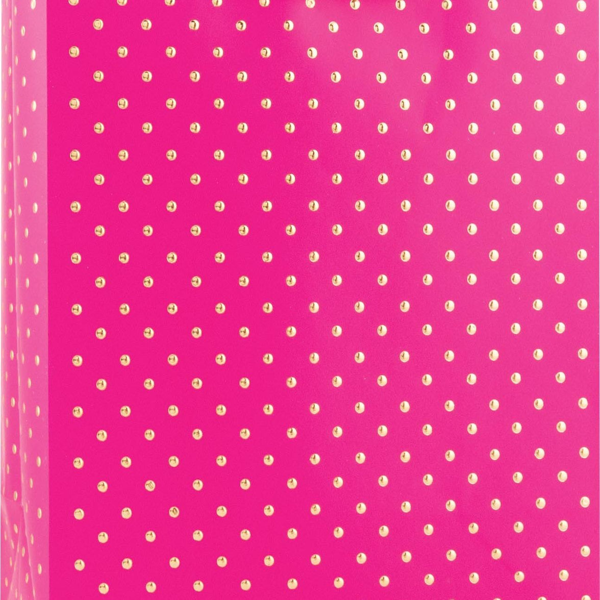 Swiss Dots Medium Gift Bag - Hot Pink