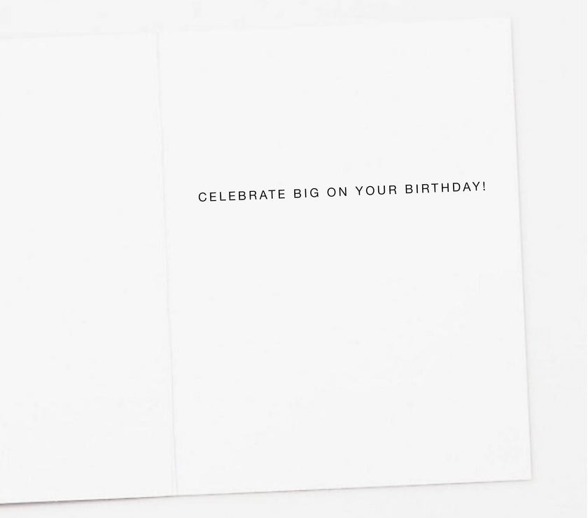 Disco Raccoon Birthday Card