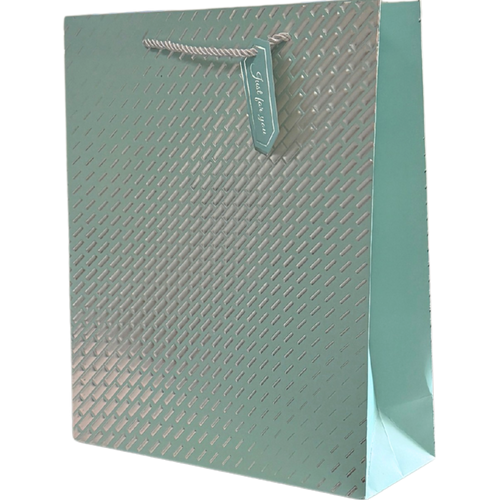 Mint Green and Silver Large Gift Bag