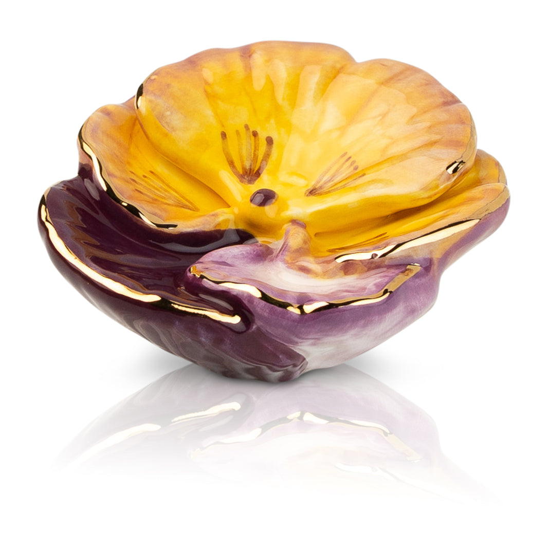 Pansy Pop Mini