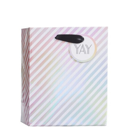 Spectrum Small Gift Bag