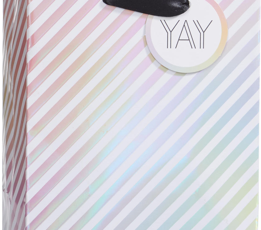 Spectrum Small Gift Bag