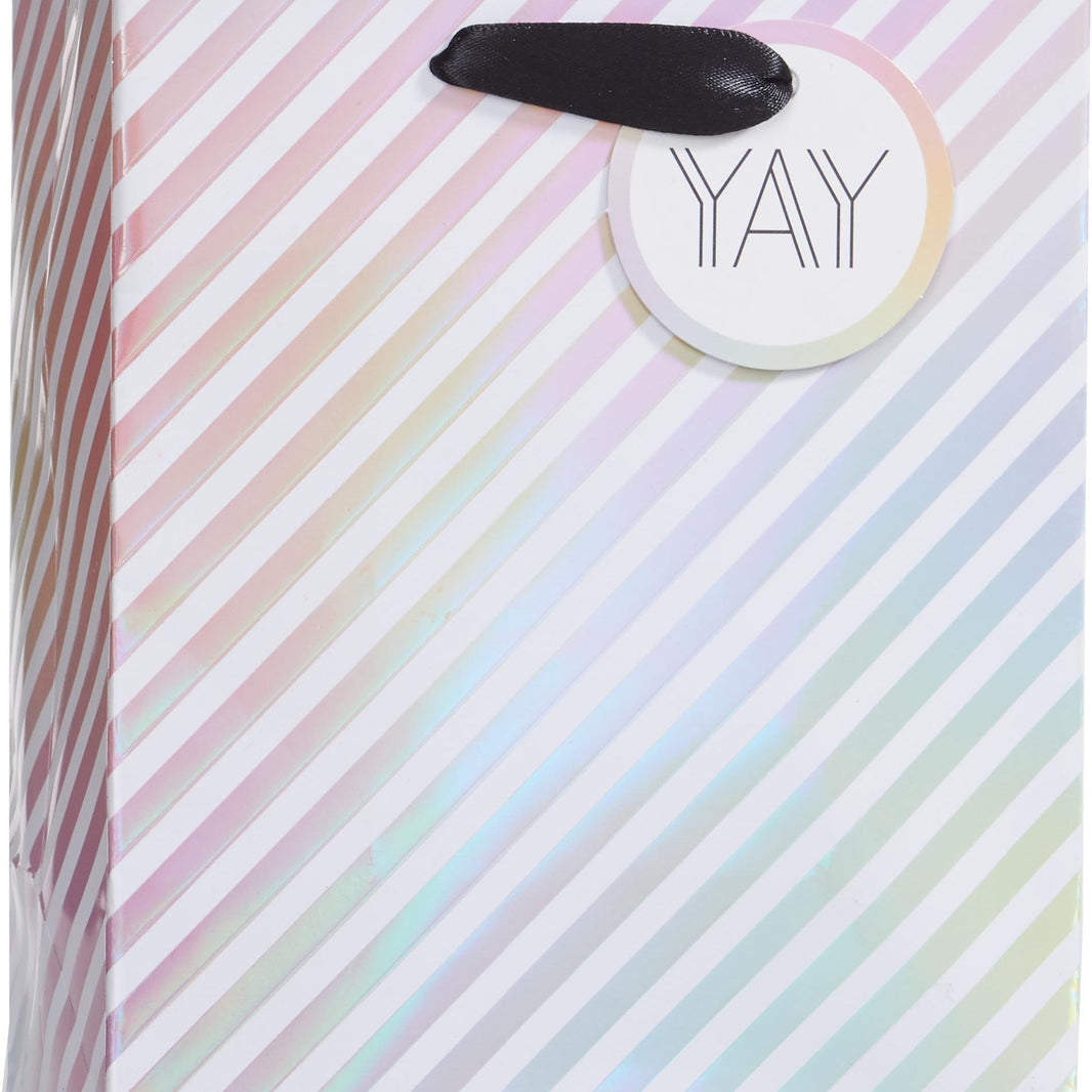 Spectrum Small Gift Bag