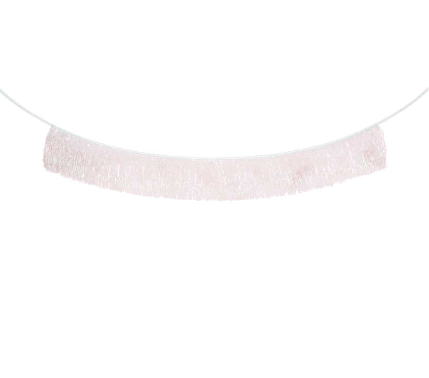 Last Disco Bachelorette Banner