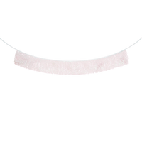 Last Disco Bachelorette Banner